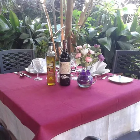 ゲストハウス Venta Manolo プエブロ・ヌエボ・デ・グアディアロ